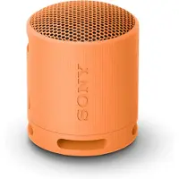Sony Extra Bass Speaker SRSXB100D