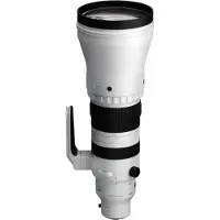 Sigma 300-600mm f/4.0 DG OS Sports L-mount objectief