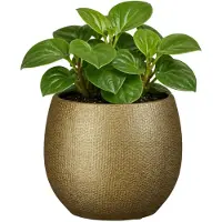Mica Decorations Plantenpot - keramiek - goud glans / ribbels - D17 x H18 cm - bloempot Porto