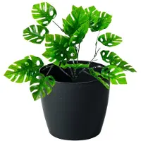 Lamela Plastic bloempot 21x18,5 cm, zwarte decoratieve hoes, magnolia