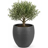 Eda Bloempot EDA Graphit Rond Plastic Donker grijs (Ø 50 x 45 cm)