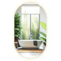 Tulup LED Spiegel - Ovale Spiegel LED - 58 cm x 100 cm - Ovale Spiegel Met Licht - Slaapkamerspiegel - Warm Wit 3000K - Ovale Spiegel Met LED Verlichting - Minimalistische Wandspiegel