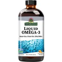 Natures Answer , Vloeibaar Omega-3, Diepzeewater Visolie EPA/DHA, Oranje, 16 fl oz (480 ml)