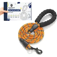 R2B All 4 Pets Supply Reflecterende Hondenriem - 3 meter - Oranje