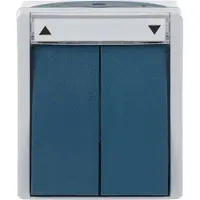 Busch-Jaeger 2CKA001085A1612 Schakelaar Met schakelaar IP44 Grijs-wit (RAL 7035), Blauw-groen