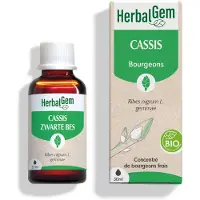 Herbalgem Zwarte Bes Bio | 30 ml