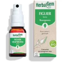 Herbalgem Vijgenboom Spray Knoppen Bio | 15 ml