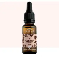 Biofloral Bachbloesems 05 Loodkruid Bio 20 ml Druppels
