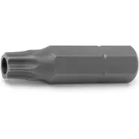 Rockforce Torx Bit T25H 1/4" L-25mm met Gat voor Schroevendraaier