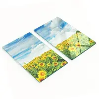 Tulup Glazen serveerplanken voor in de keuken met afbeelding van een zonnebloemveld, 2x30x52 cm