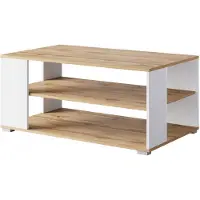 Bratex Moderne Salontafel – Koffietafel met 2 Open Planken – Wotan Eiken & Wit – 100 x 60 cm – Scandinavisch Design met Zilveren Poten