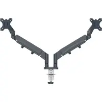 Leitz Ergo ruimtebesparende monitorarm voor 2 monitoren donkergrijs (met klem en bladdoorvoer)