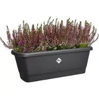 Elho Noa Balkonbak M - Balkonbak voor Buiten - Waterreservoir - 100% Gerecycled Plastic - L52 x B20 x H17.8 cm - Living black