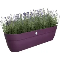 Elho Vibia Campana Easy Hanger XXL 70 - Plantenbak voor Balkon - Balkonbak - 100% Gerecycled Plastic - L69 x B26.8 x H23.7 cm - Esdoorn paars