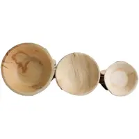 KOKA 30x Ronde schaal van palmblad maat 12,5 cm