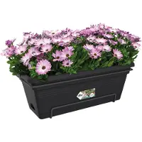 Elho Green Basics Balkonbak Xl Allin1 55 - Plantenbak voor Balkon Buiten - Ø 54.5 x H 22.5 cm - Living black