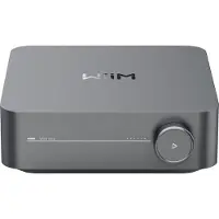 WIIM Amp Grijs