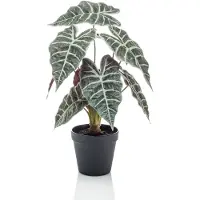Emerald - Kunstplant in pot Alocasia 40cm - Kunstplant voor binnen