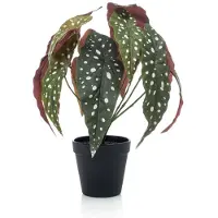 Emerald - Kunstplant in pot Begonia Maculata 33cm - Kunstplant voor binnen
