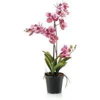 Emerald - Kunstplant Vanda in pot oudroze 60cm - Kunstplant voor binnen