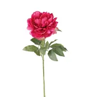 Emerald - Kunstbloem Pioenroos 65cm roze - Kunstplant voor binnen