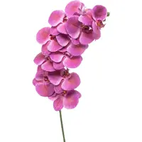 Emerald - Kunstbloem Phalaenopsis beauty 100cm - Kunstplant voor binnen