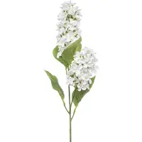 Emerald - Kunstbloem Hortensia Paniculata wit 76cm - Kunstplant voor binnen