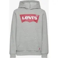 Levi's Kids hoodie Batwing met logo grijs melange Sweater Logo - maat 98