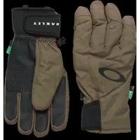 Oakley Apparel Powder Ridge Handschoenen