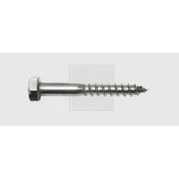 Swg 4009146507332 Houtschroef 10 mm 70 mm Buitenzeskant DIN 571 RVS A2 20 stuk(s)