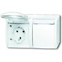 Busch-Jaeger BJ APWG oceaan, Schuko stekker met 20/2EWN-54 aanduiding, 2-voudig, horizontaal, alpinwit