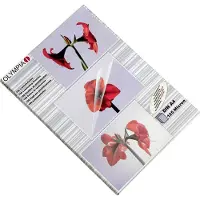 Olympia 1x100 Olympia Laminating pouches DIN A4 125 micron 9