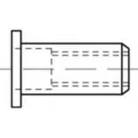 Toolcraft TO-5444343 Popmoer M4 Staal 500 stuk(s)