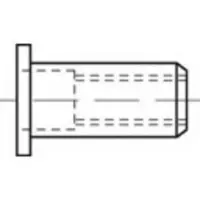 Toolcraft TO-5444241 Popmoer M8 Staal 100 stuk(s)