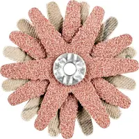 PFERD TOOLS 42732063 Schuurster Diameter 50 mm 10 stuk(s)