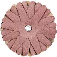 PFERD TOOLS 42732166 Schuurster Diameter 100 mm 10 stuk(s)