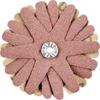 PFERD TOOLS 42732106 Schuurster Diameter 70 mm 10 stuk(s)