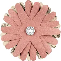 PFERD TOOLS 42732129 Schuurster Diameter 80 mm 10 stuk(s)