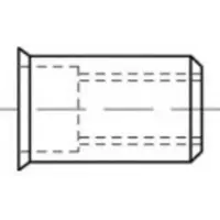 Toolcraft TO-5380431 Popmoer M6 RVS 250 stuk(s)