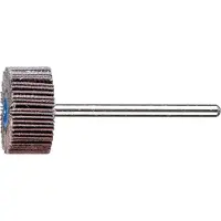 PFERD TOOLS 47801528 Lamellenslijper Diameter 20 mm 10 stuk(s)