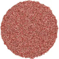 PFERD TOOLS CD 20 A 80 42750208 Schuurblad Korrelgrootte (num) 80 (Ø) 20 mm 100 stuk(s)