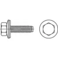 Toolcraft 1070017 Gevelschroef 6.3 mm 175 mm Buitenzeskant 88276 RVS A2 100 stuk(s)