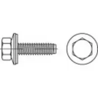 Toolcraft 1070012 Gevelschroef 6.3 mm 90 mm Buitenzeskant 88276 RVS A2 150 stuk(s)