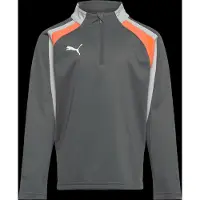 Puma Individualliga Half Zip Long Sleeve T-shirt Grijs 13-14 Years Kinderen