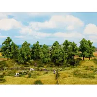 Noch 0024602 Set bomen Loofboom 140 tot 180 mm 6 stuk(s)