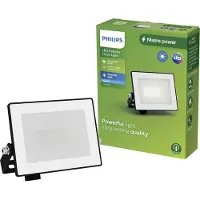 Philips Floodlight | Lois | 5000K | 950 lumen | IP65 | 10W