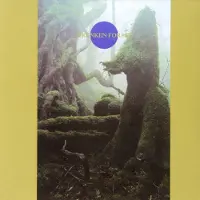 Bertus Distributie Drunken Forest