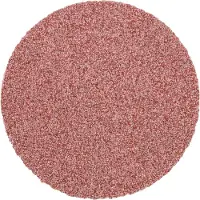 PFERD TOOLS CD 38 A 80 FORTE 42751408 Schuurblad Korrelgrootte (num) 80 (Ø) 38 mm 100 stuk(s)