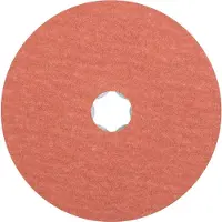 PFERD TOOLS 64191106 Schuurschijf Diameter 125 mm