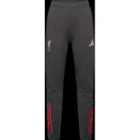 Adidas Sportbroek 'FC Liverpool Tiro 25 Competition' antraciet / rood / wit